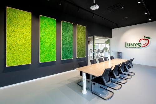 ALFA 455 zasedací místnost